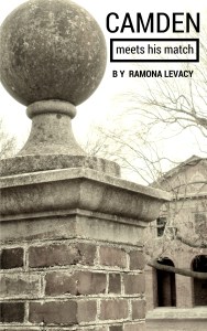 First Draft Cover for my next novel