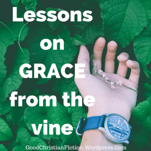 God uses the vine to teach Jonah grace